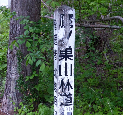 P1150184.jpg