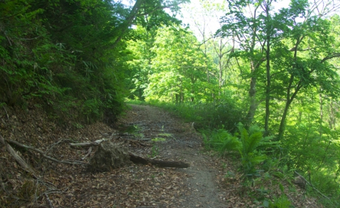 IMGP4410.jpg