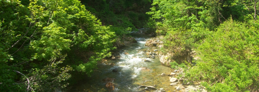 IMGP4421.jpg