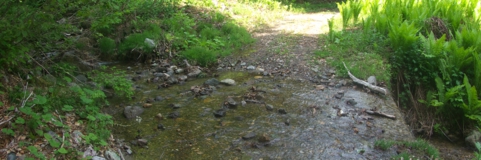 IMGP4413.jpg