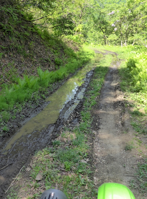 P1150250.jpg